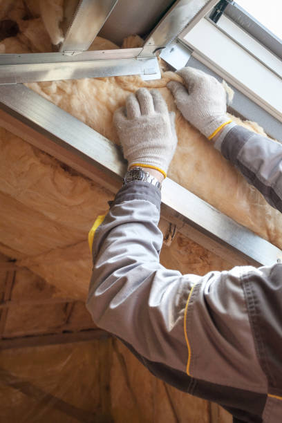 Best Specialized Insulation Services in Ferndale, PA