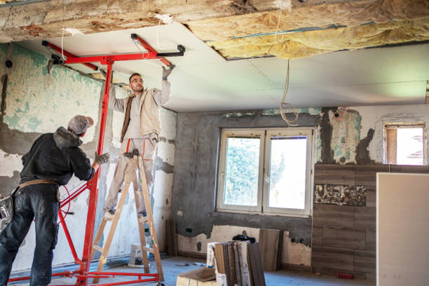Best Geographic-Specific Insulation Services in Ferndale, PA