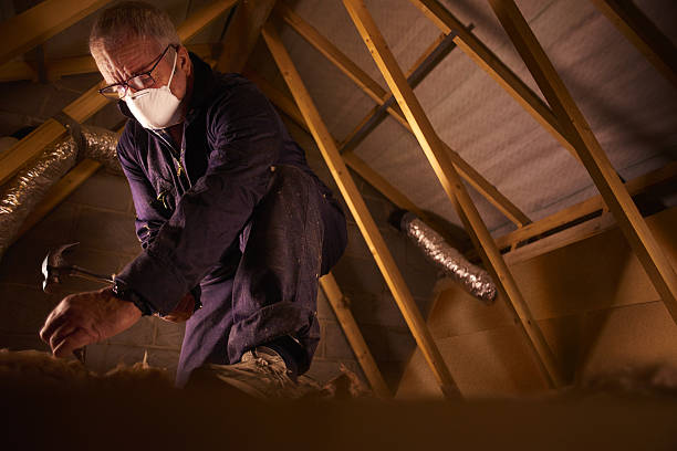 Best Energy Efficiency Insulation in Ferndale, PA