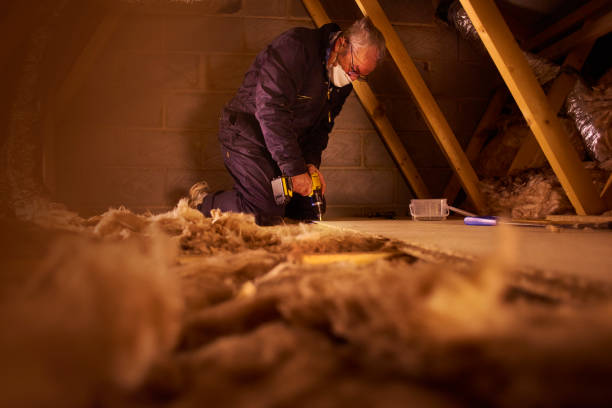 Best Insulation Maintenance and Repair in Ferndale, PA