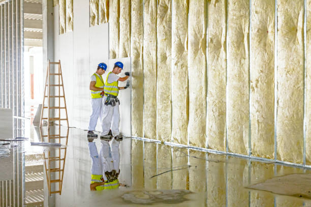 Best Residential Insulation in Ferndale, PA